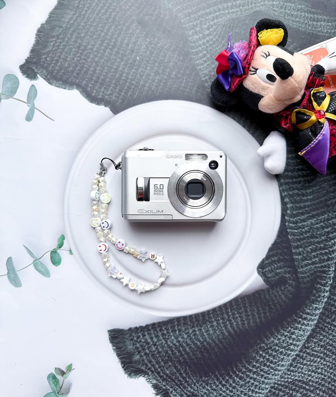 Casio Exfilm EX-Z110